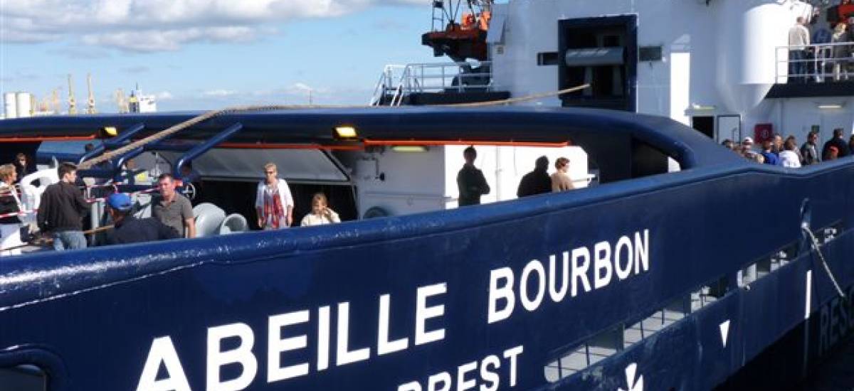 28296 abeille bourbon