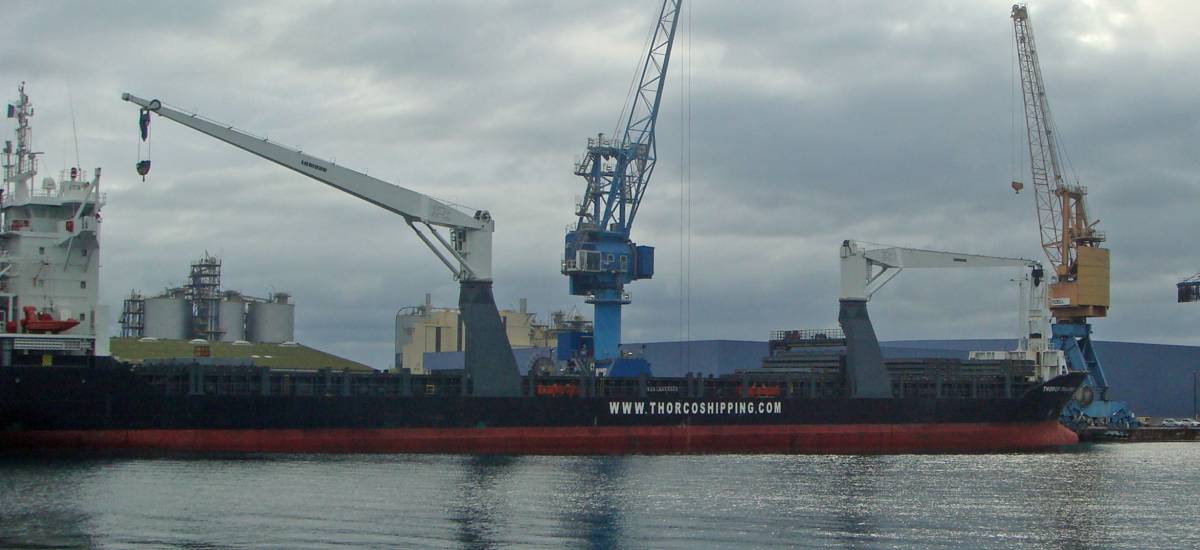 31179 sete bois