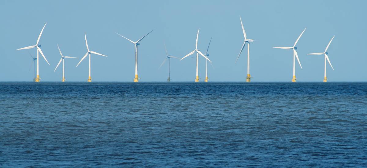 32514 champs éoliennes offshore