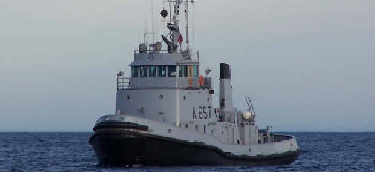 32583 bison