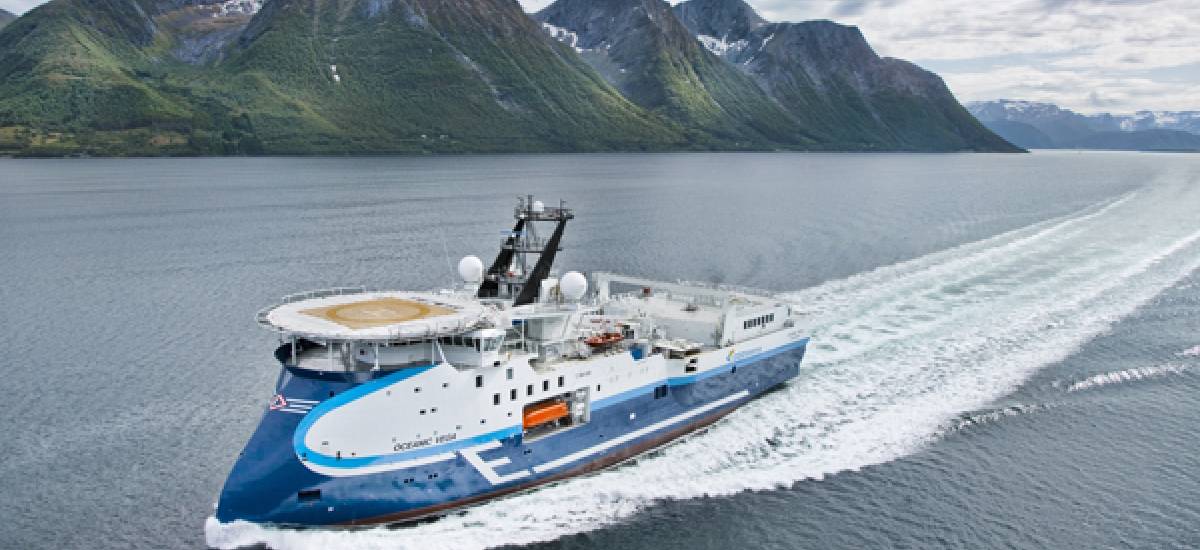 33625 oceanic vega