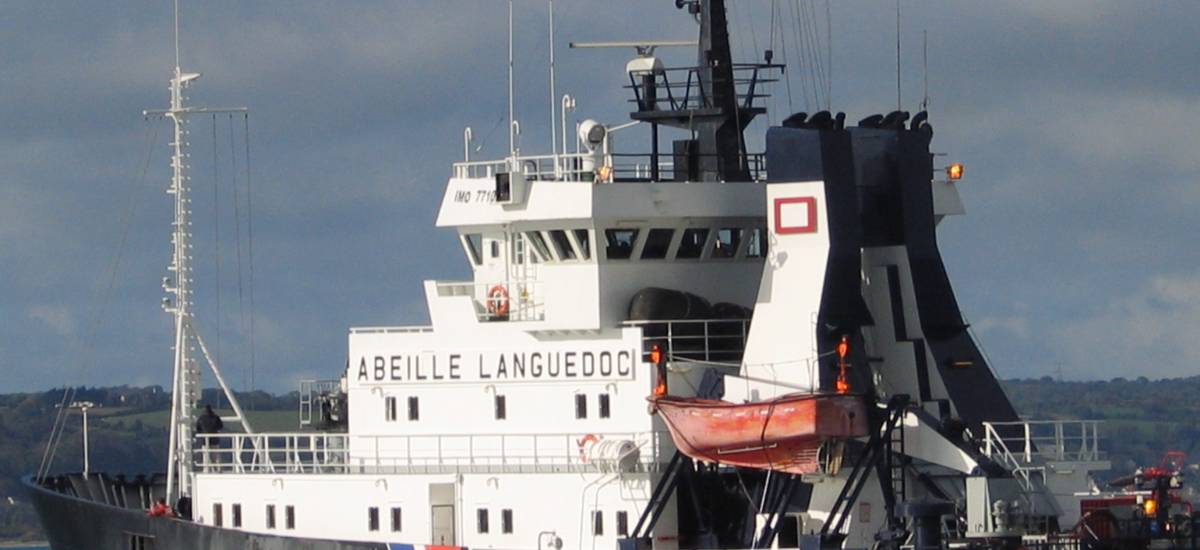 35844 Abeille languedoc
