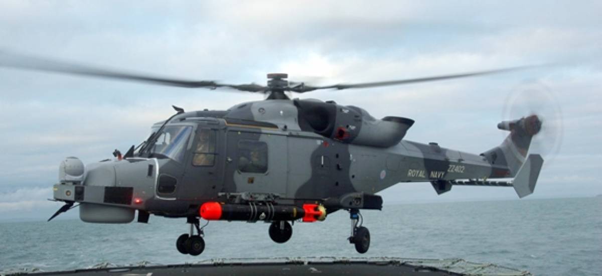 40871 wildcat lynx