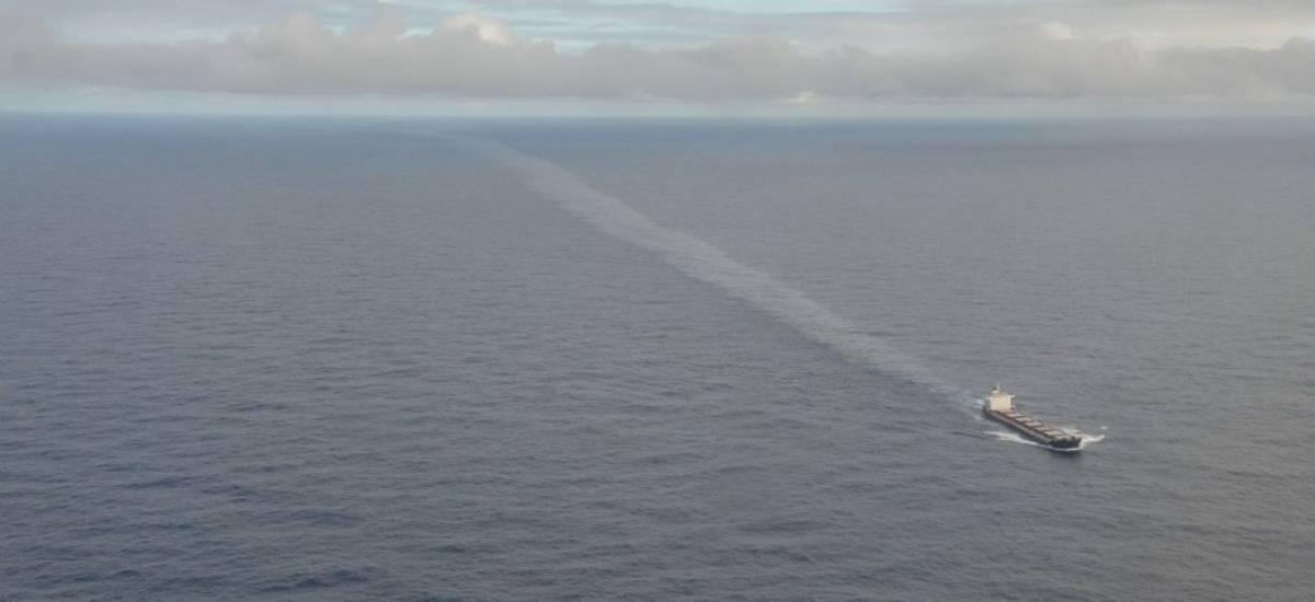 141418 thisseas pollution