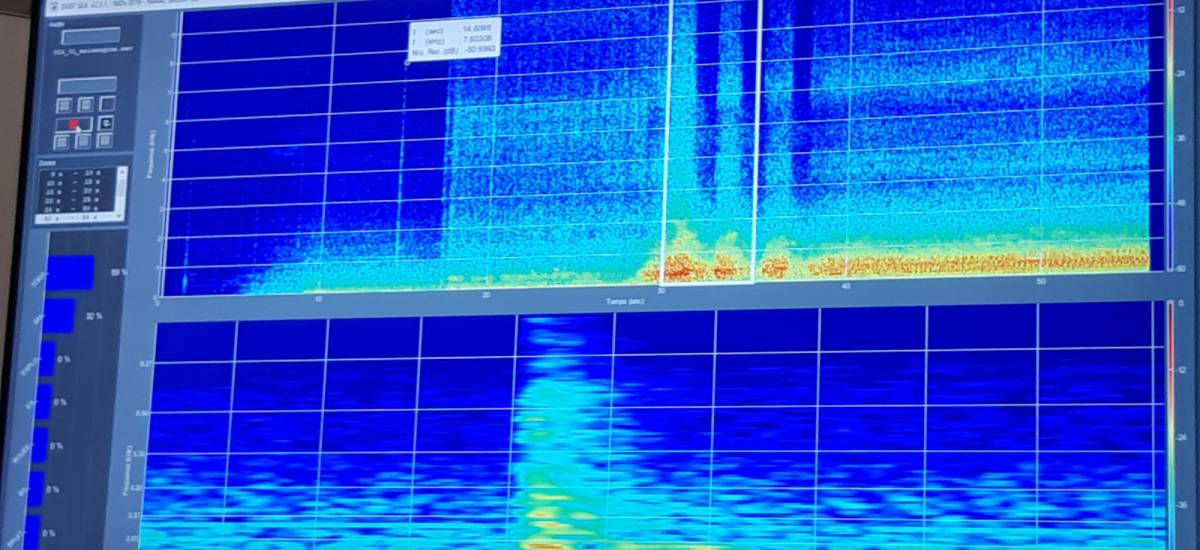 210204 acoustique sous-marin sonar