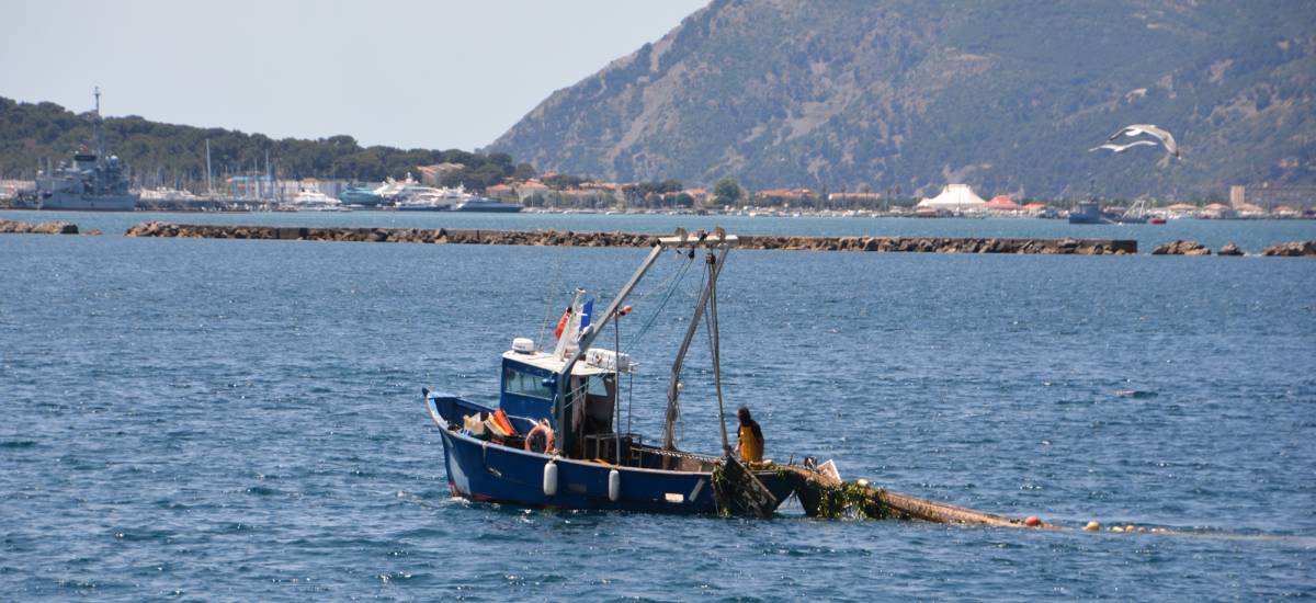 217029 peche toulon