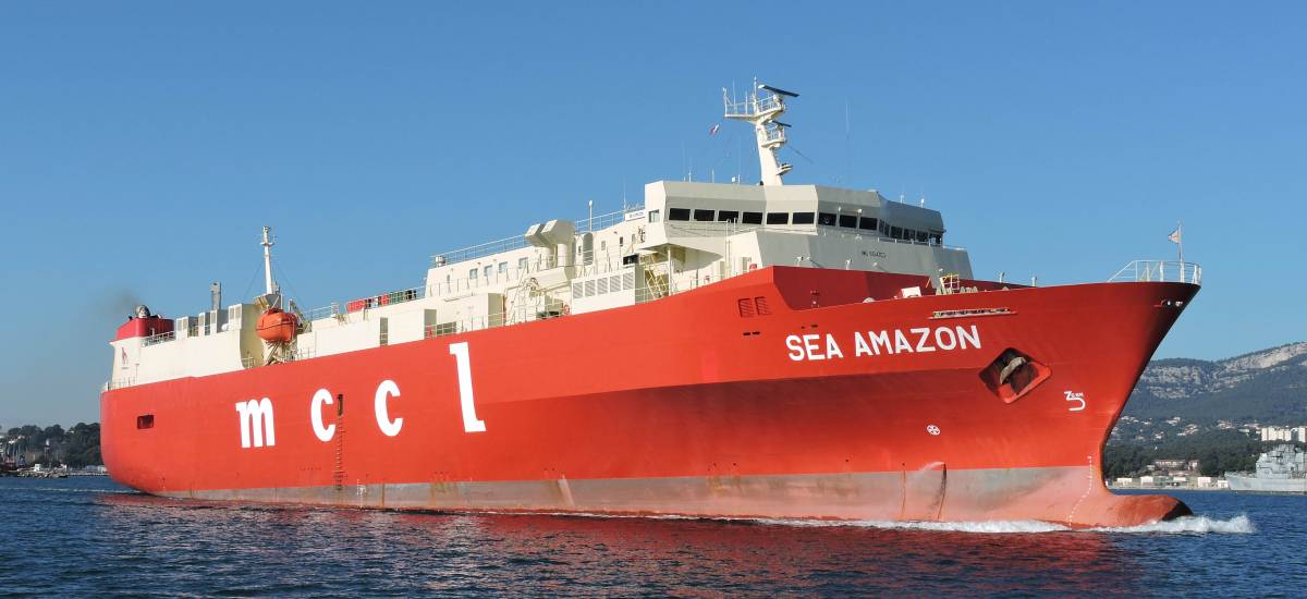 221411 toulon bregaillon roulier sea amazon