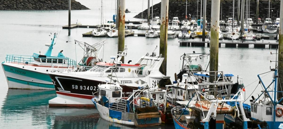 244695 tfr Les pêcheurs bretons auront de nouveau accès aux eaux de Jersey dans les prochains jours.