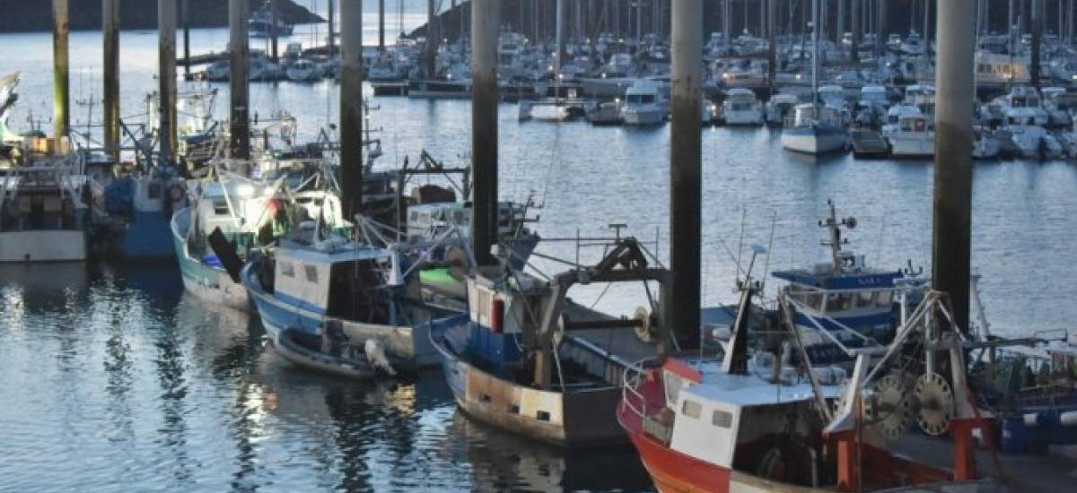 251495 pêcheur saint quay