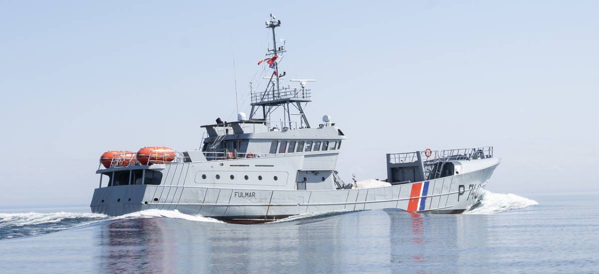 252126 fulmar