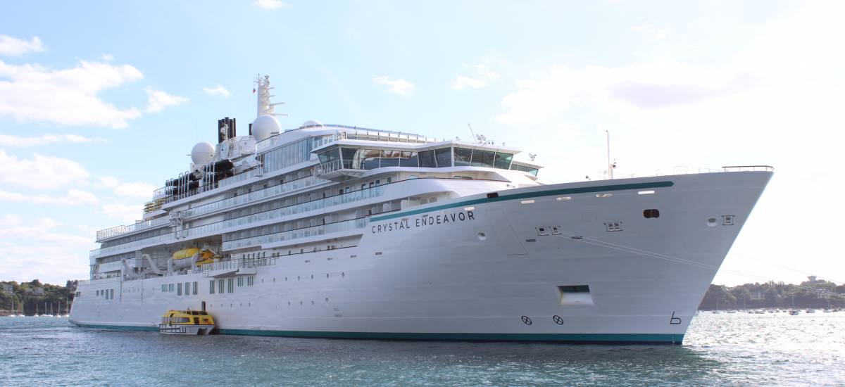 262315 crystal endeavour