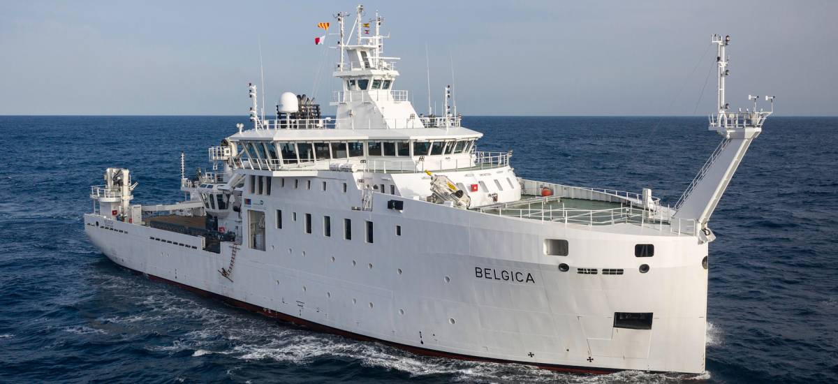 266379 belgica