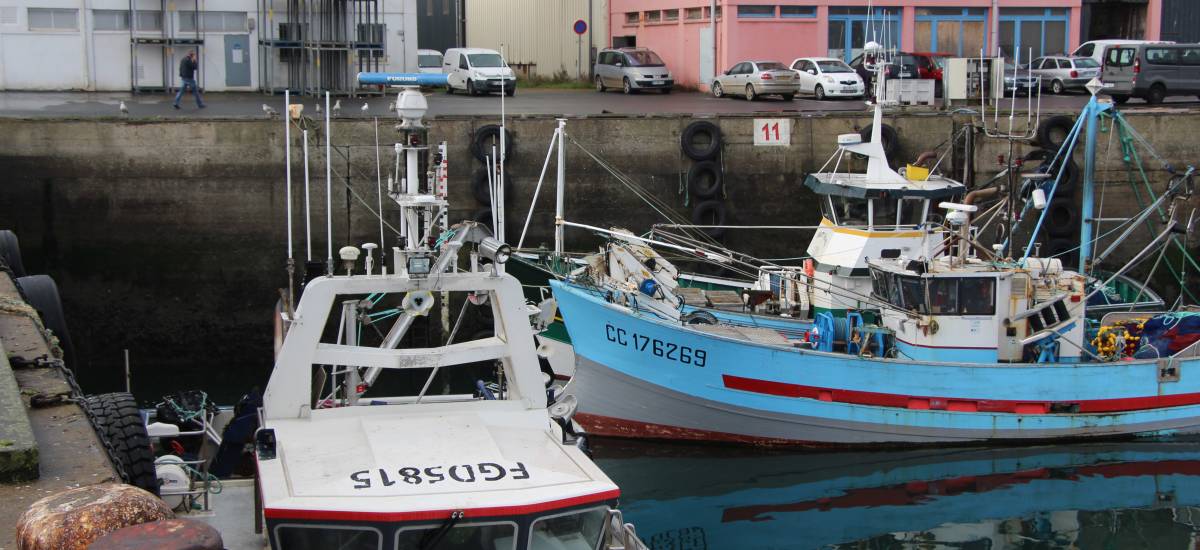266739 pêche