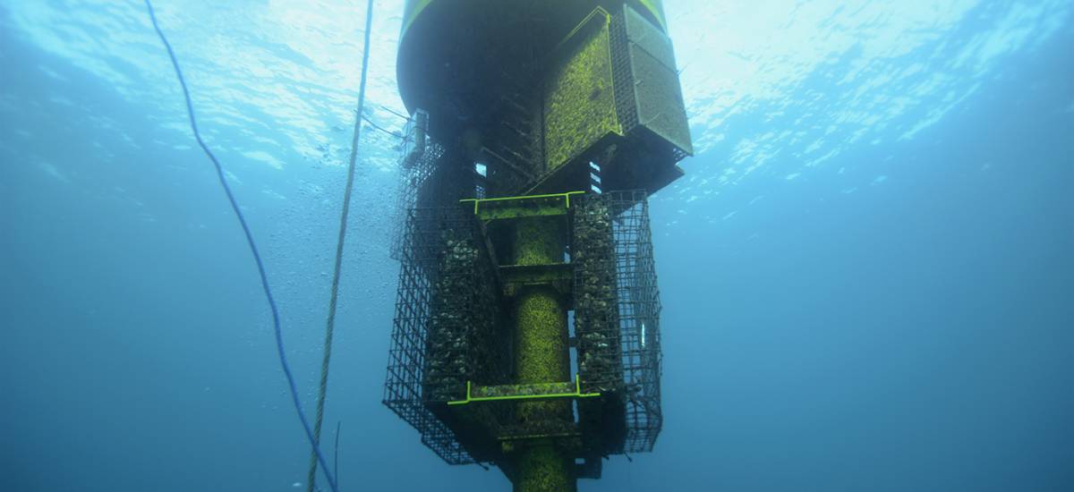 Ecocean lève 1.2 million d'euros pour accélérer son déploiement ...
