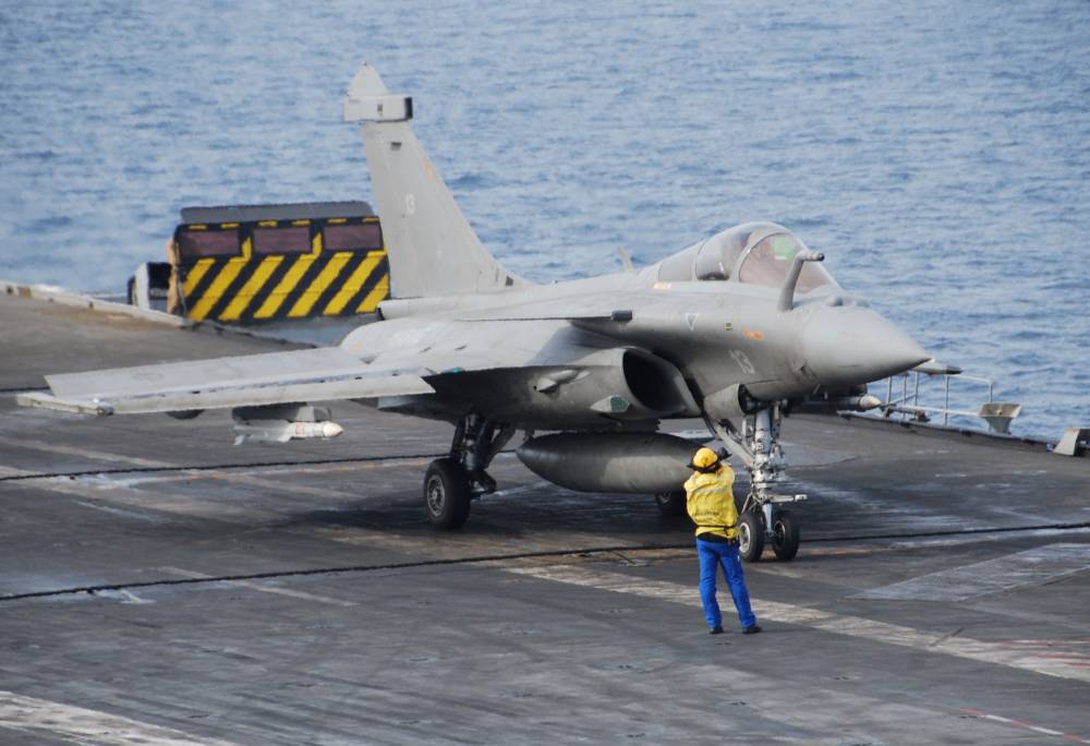 65773 corsican lion