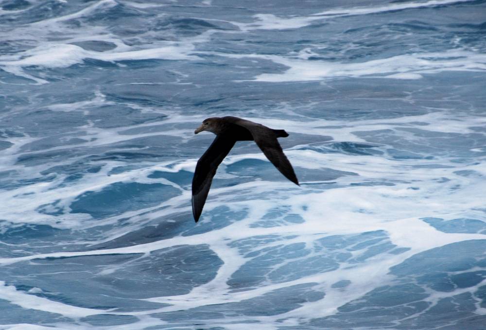 68000 antarctique