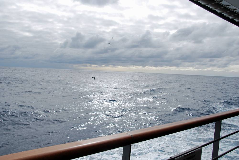 68025 antarctique