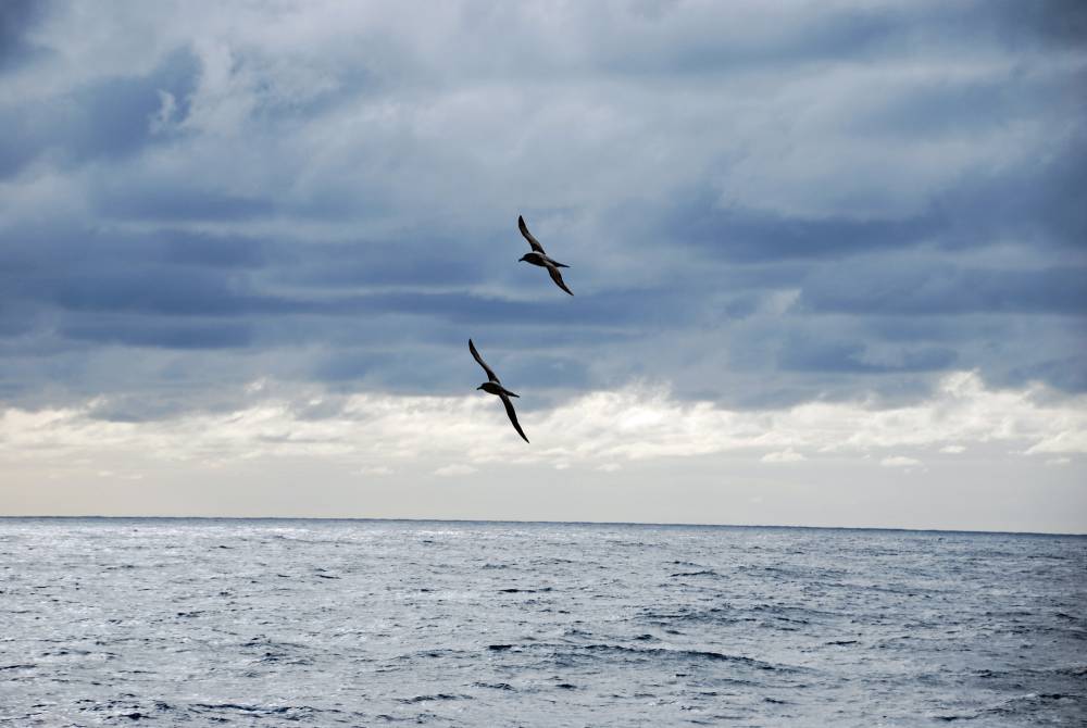 68030 antarctique
