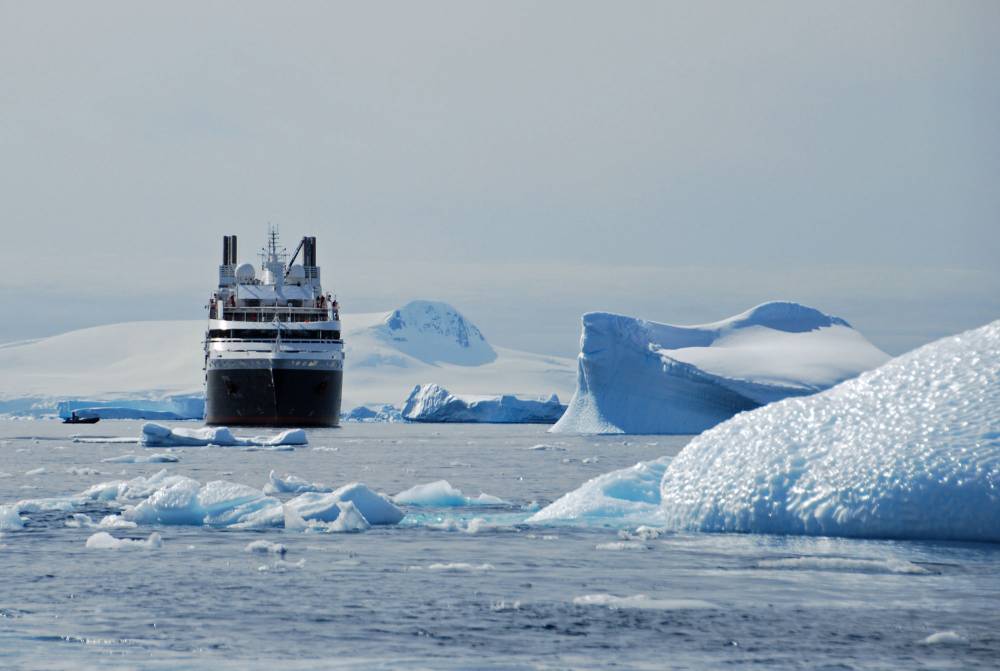 68812 antarctique wilhelmine
