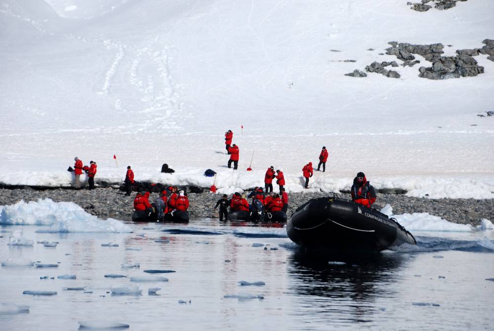 68822 antarctique wilhelmine