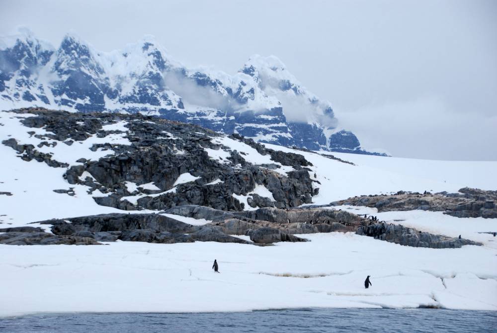 69010 antarctique ile melchior port lockroy