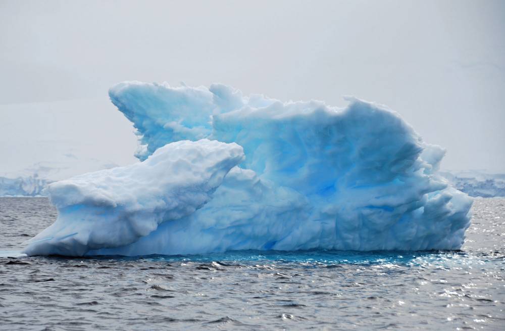 69015 antarctique ile melchior port lockroy