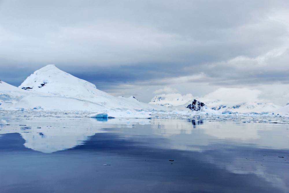 69049 antarctique