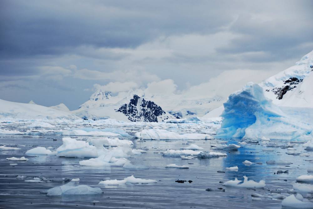 69061 antarctique