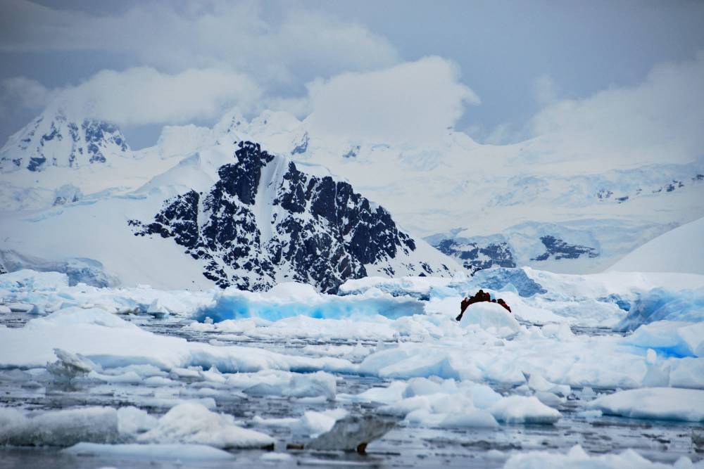 69062 antarctique