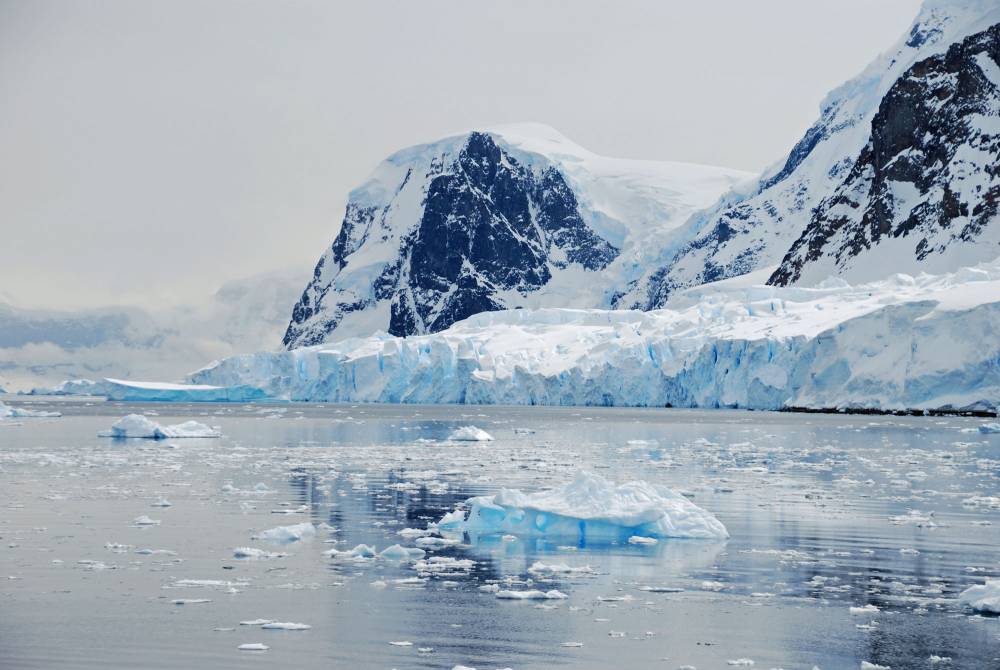 69064 antarctique