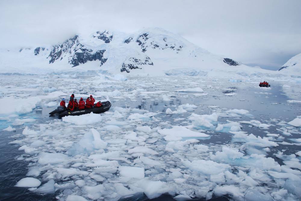 69071 antarctique