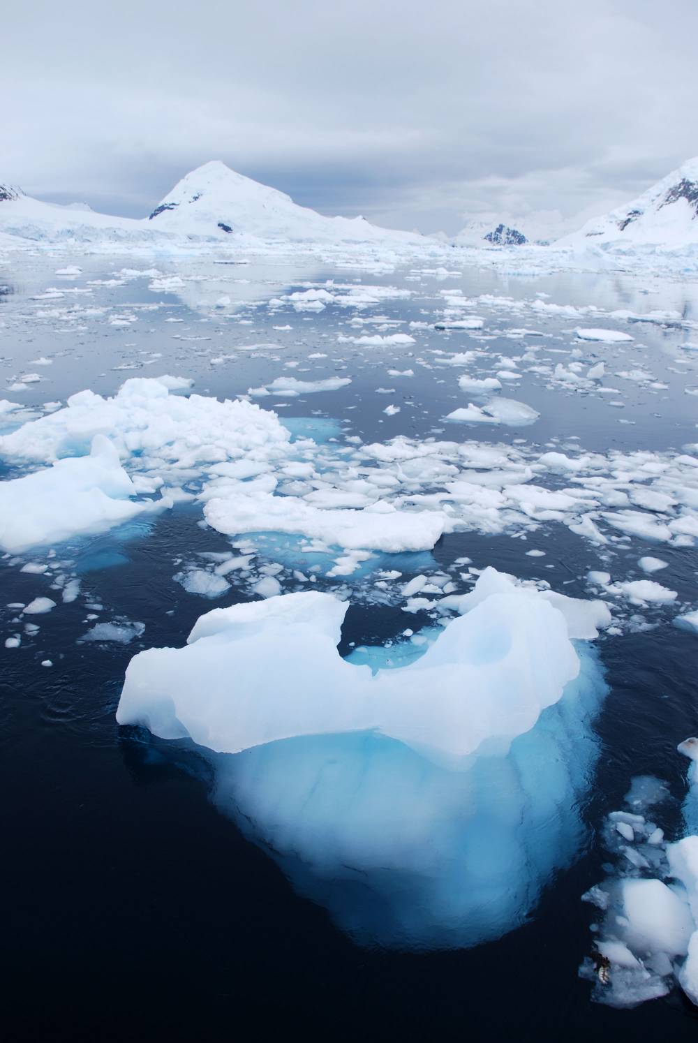 69072 antarctique