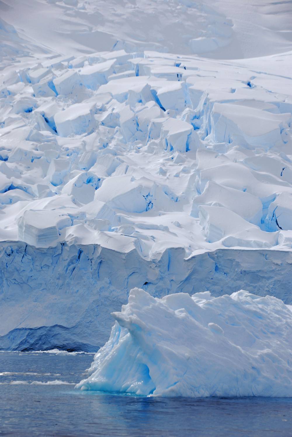 69075 antarctique
