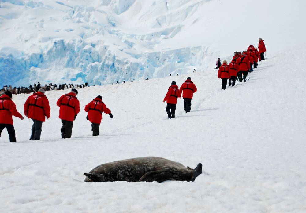 69080 antarctique