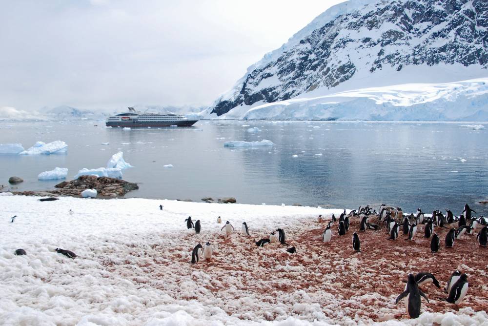 69099 antarctique