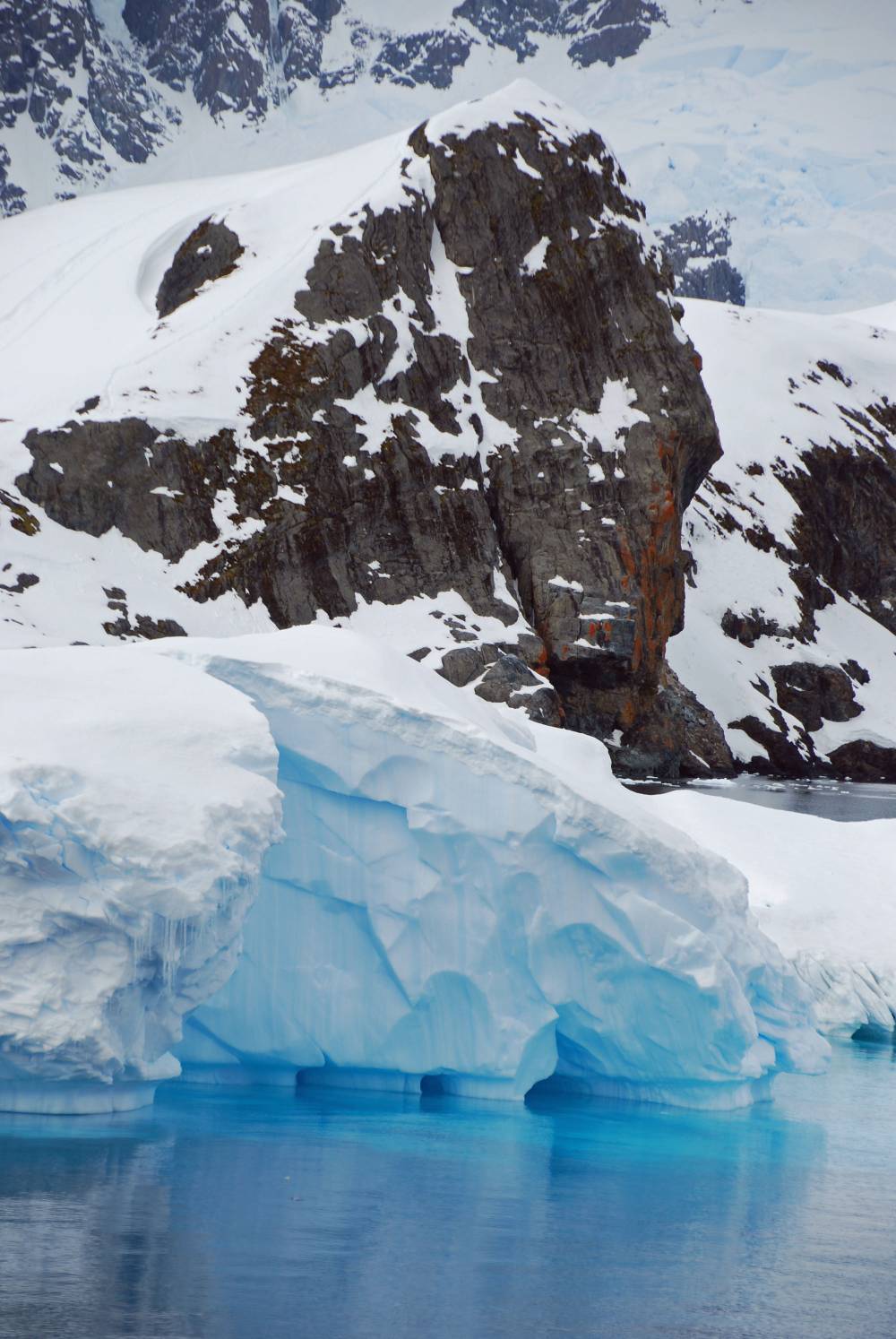 69113 antarctique