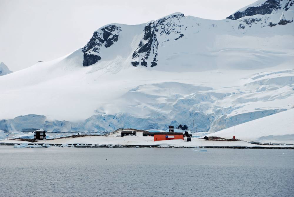69117 antarctique