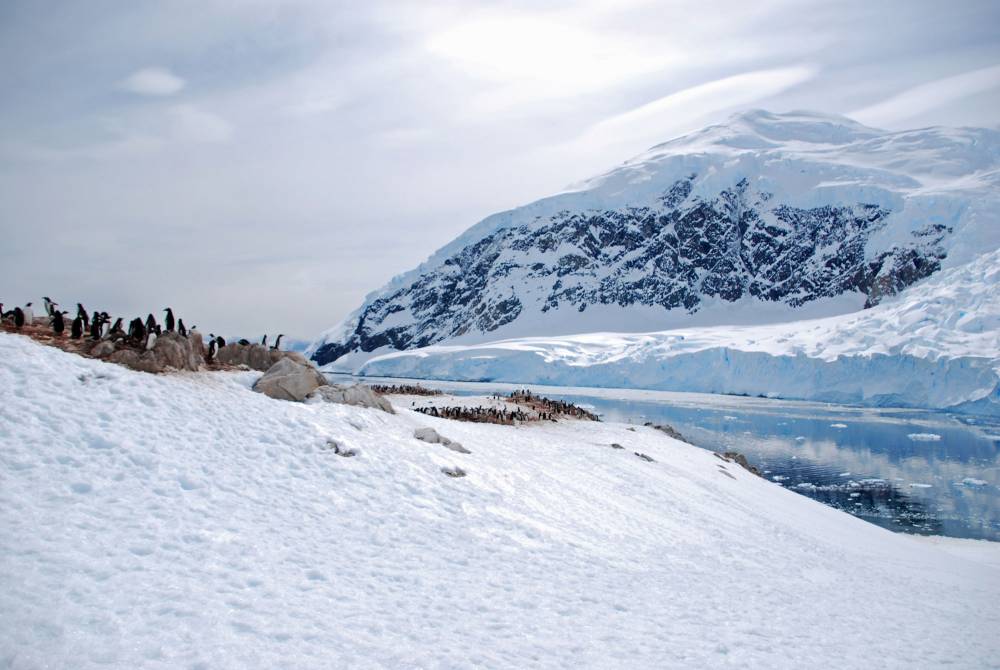 69129 antarctique