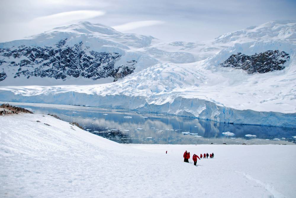 69131 antarctique