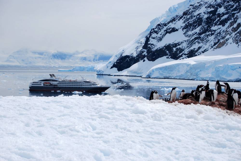 69133 antarctique