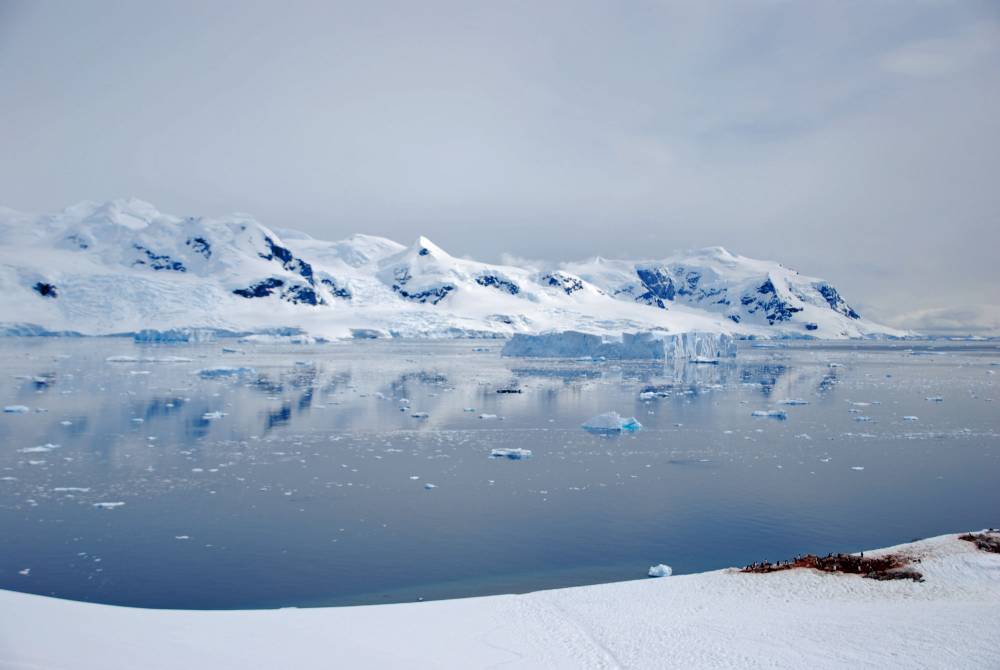 69135 antarctique