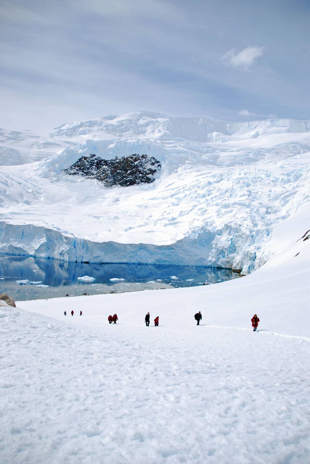 69137 antarctique