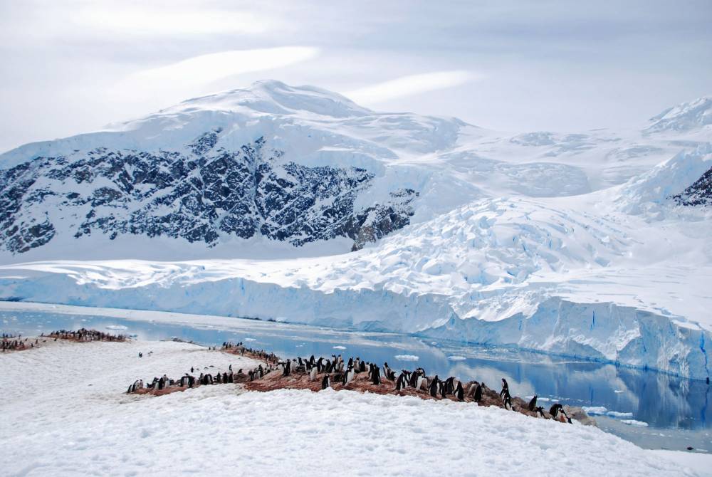 69140 antarctique