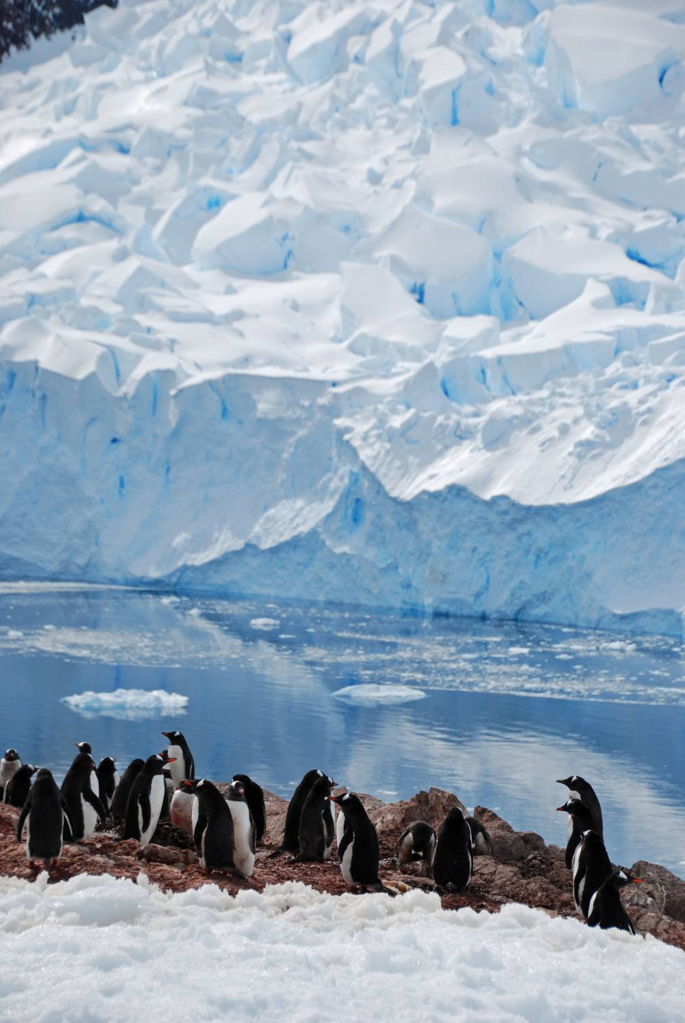 69141 antarctique