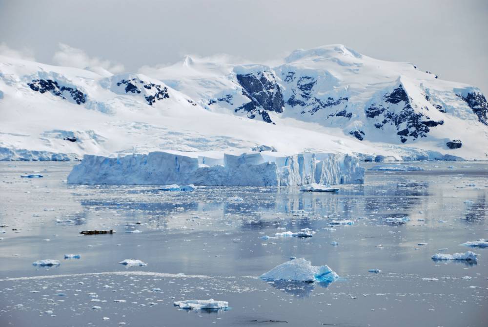 69146 antarctique