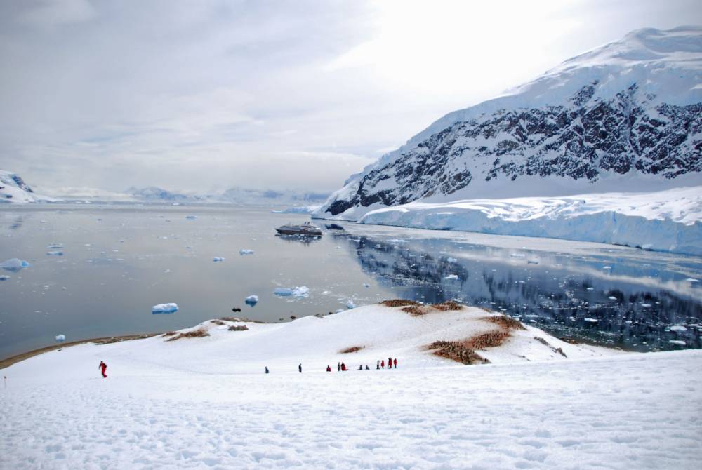 69147 antarctique