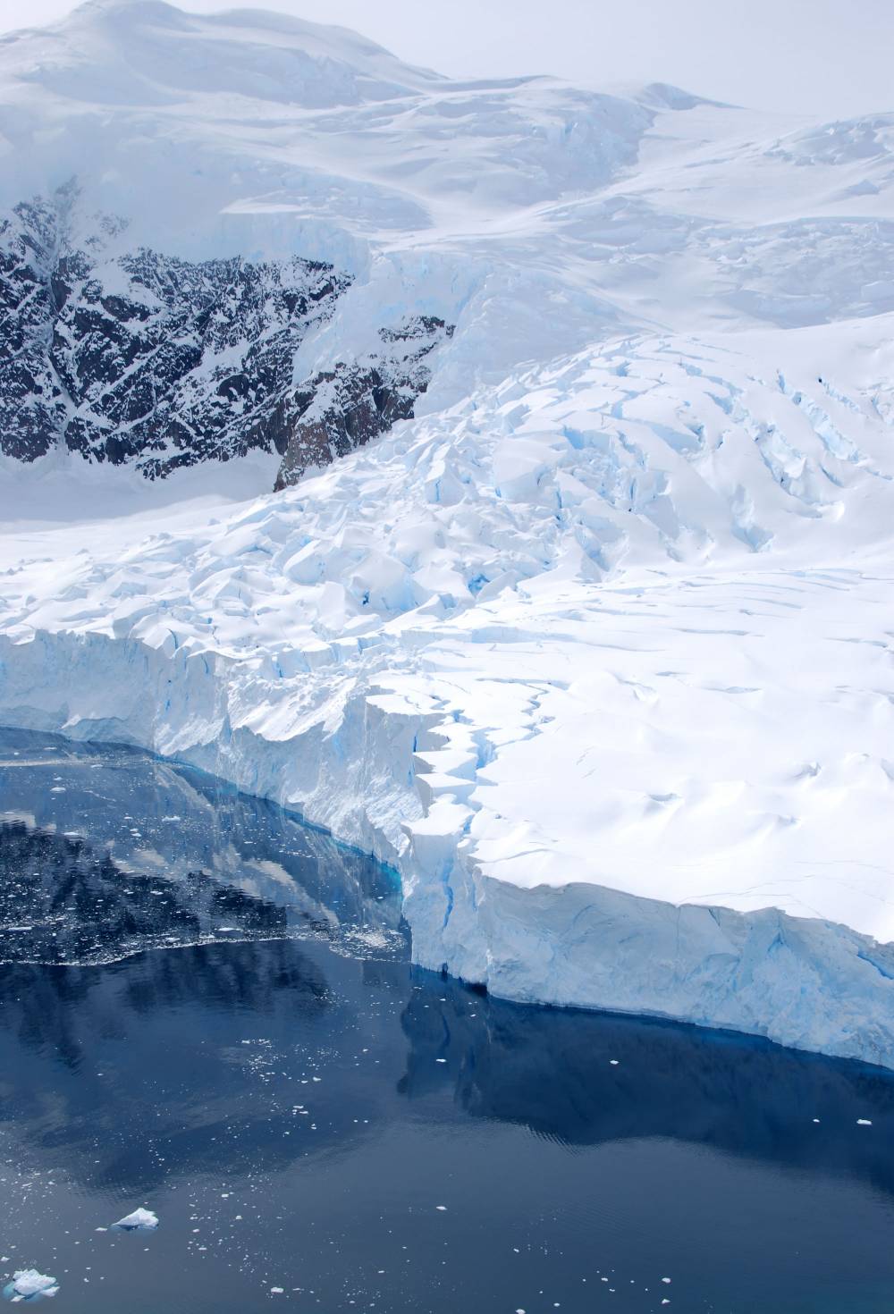 69165 antarctique