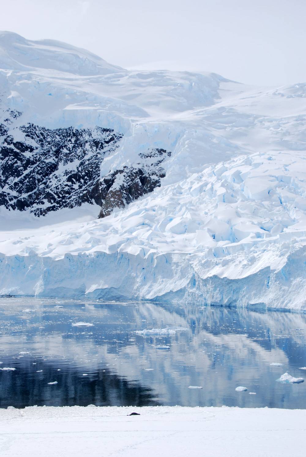 69204 antarctique