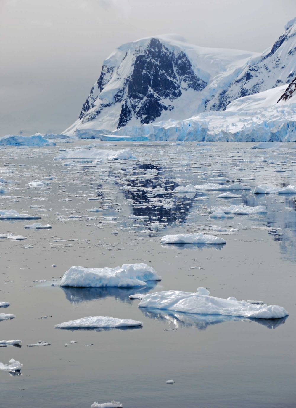 69262 antarctique