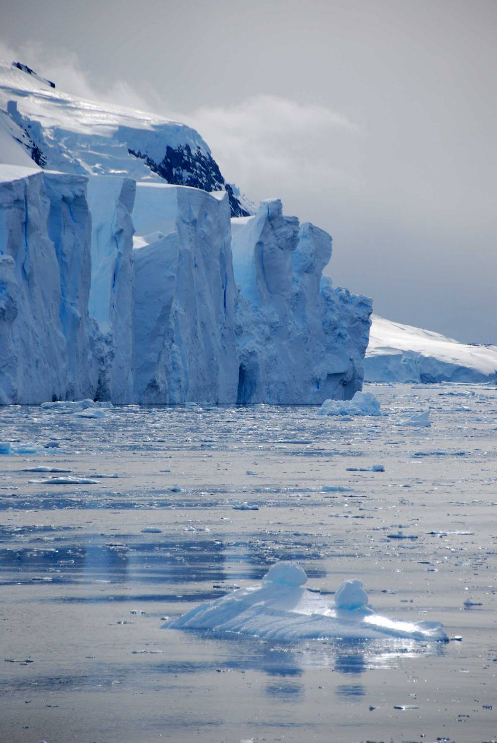 69275 antarctique